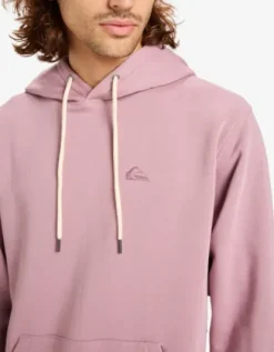 Quiksilver Salt Water - Sweat à capuche pour Homme ELDERBERRY Clearance