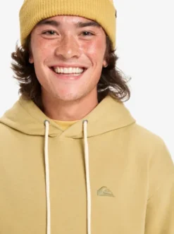 Quiksilver Salt Water - Sweat à capuche pour Homme SPONGE Online
