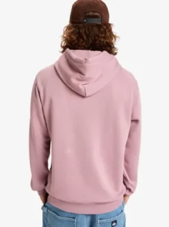 Quiksilver Salt Water - Sweat à capuche pour Homme ELDERBERRY Clearance