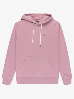 Quiksilver Salt Water - Sweat à capuche pour Homme ELDERBERRY Clearance