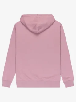 Quiksilver Salt Water - Sweat à capuche pour Homme ELDERBERRY Clearance