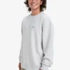 Quiksilver Salt Water - Sweat pour Homme LIGHTGREYHEATHER Sale