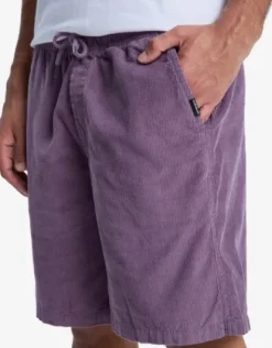 Quiksilver Taxer 18" - Walkshort en velours côtelé pour Homme VINTAGEVIOLET Best