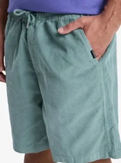 Quiksilver Taxer 18" - Walkshort en velours côtelé pour Homme CHINOISGREEN Discount
