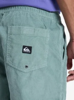 Quiksilver Taxer 18