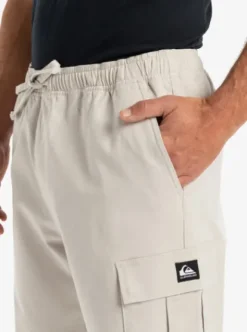 Quiksilver Taxer - Pantalon cargo pour Homme WINDCHIME Discount