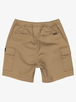 Quiksilver Taxer - Short de marche cargo pour Garçon 8-16 LEADGRAY New