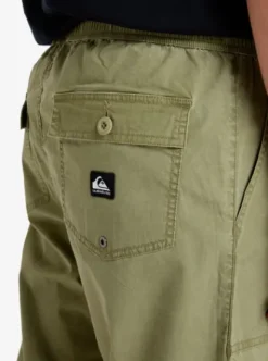 Quiksilver Taxer Fatigue - Walkshort 5 poches pour homme ALOE Fashion