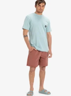 Quiksilver Taxer Ws - Short taille élastique pour Homme HENNA Clearance