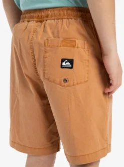 Quiksilver Taxer Youth 15
