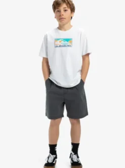 Quiksilver Taxer Youth 15