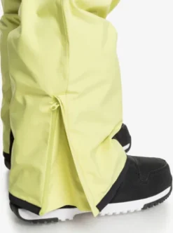 Quiksilver Utility - Pantalon de snow pour Homme CELERYGREEN Sale