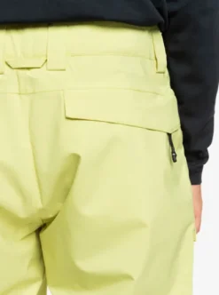 Quiksilver Utility - Pantalon de snow pour Homme CELERYGREEN Sale